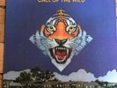 Ted NUGENT Amboy Dukes:Call of the Wild, pressage US DISCREET,1974. Comme neuf