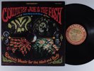 COUNTRY JOE & THE FISH Electric Music For Mind And Body VANGUARD LP VG+ stereo g