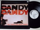 THE JESUS AND MARY CHAIN - PSYCHOCANDY. 1985. UK. LP. BLANCO Y NEGRO. INDIE