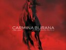 Carl Orff Carl Orff: Carmina Burana (Vinyl) 12