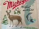 Sufjan Stevens - Greetings from Michigan The Great Lake State vinyl record NM
