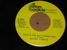 OHIO MOD SOUL FUNK 45 - SONNIE N BRITE - THAT'S THE WAY THINGS ARE - SON COOKIE