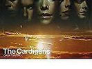 The Cardigans - Gran Turismo - Reissue (NEW 12