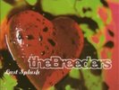 The Breeders Last Splash  (Vinyl)  12