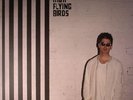 NOEL GALLAGHER'S HIGH FLYING BIRDS - Chasing Yesterday - Vinyl (LP)