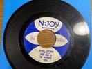 JOHN FRED & PLAYBOYS 45 Boogie Children 1965 N-JOY Louisiana R&B Garage Rocker