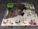 Animal Collective Time Skiffs LP Indie Exclusive Translucent Ruby Colored Vinyl