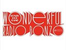 THE BONZO DOG DOO-DAH BAND-WONDERFUL RADIO BONZO  (AT THE BBC 1966 - 1968) NEW V