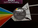 Geraldine Hunt - Can't Fake The Feeling - Used Vinyl Record 12 - W7350A