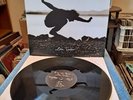 Eddie Vedder-into the wild-music on vinyl 2010-very rare-Tested VG++ No Booklet