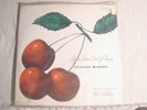 ORIGINAL LOSE BAG SEALED LP: BETHLEHEM 61-HOWARD McGHEE-LIFE IS JUST A BOWL CHER