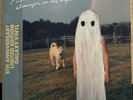 Pheobe Bridgers “Stranger In The Alps” 5th Anniversary GALAXY VINYL