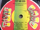 Bob Marley – Chant Down Babylon- Vinyl LP