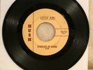 THE SYNDICATE OF SOUND LITTLE GIRL RARE 1966 HUSH PRESS CA. GARAGE PSYCH  VG-