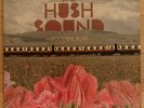 The Hush Sound - Goodbye Blues 2008 Fueled by Ramen Decaydance Rare Vinyl LP