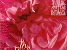 SIOUXSIE AND THE BANSHEES THE THORN 12