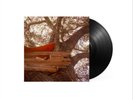 The Backseat Lovers Waiting to Spill (Vinyl) 12