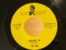 RARE Texas Garage THE WIG Crackin' Up / Bluescene BLACKNIGHT 903 NM  Rusty Wier