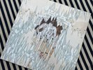Portugal the Man - It’s Complicated Being A Wizard  LP RARE