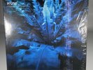 Hum Downward Is Heavenward Vinyl 2LP Record Limited Blue Earth Analog 2019