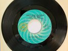 THE FANTASTIC FOUR Can't Stop Looking For My Baby VG+ Ric-Tic Northern Soul 45