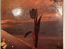 PRETTY THINGS - PARACHUTE 1ST PRESS HARVEST SHVL 774