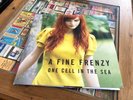 A Fine Frenzy One Cell In The Sea rare vinyl double album 2007 0 9463 73825 1 6