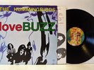 THE HUMMINGBIRDS lovebuzz LP EX/EX, 838 679-1, vinyl, album, with inner, uk 1989