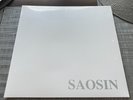 Saosin – Translating The Name 12