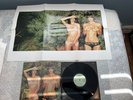 Bryan Ferry ROXY MUSIC Country life w/ POSTER CAPITOL VAULT 180 GRAM Vinyl LP NM