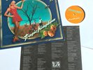 NO DOUBT - Tragic Kingdom 1995 US Vinyl Album / Limited 1st PRESS (Gwen Stefani)