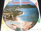 Rare Made in Japan HAWAII SINGS Picture Record 60s Era with Original Jacket NICE
