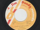 ROCKABILLY 45 -MELVIN MORRIS - CHARLIE'S GOT A HORN - HEAR -1961 S.C. JIM DANDY