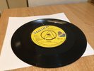 De-lites - Lover/Tell Me Why - Grapevine - 7” Vinyl single Rare Demo Copy.