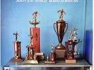 Bleed American by Jimmy Eat World (Record, 2016) New Vinyl