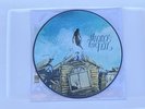 Pierce the Veil Collide With The Sky Vinyl (Picture Vinyl)