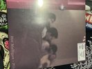 Hot Mulligan Vinyl - Pilot - GITD Red - NM/M