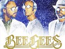 The Bee Gees: Bee Gees Timeless The All-Time Greatest Hits Vinyl