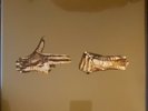 Run The Jewels Stay Gold Collector's Edition - Brand New, Free Shipping