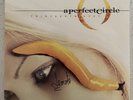 A Perfect Circle Thirteenth Step US first pressing vinyl LP autographed Jeordie