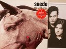 SUEDE THE WILD ONES 12