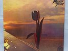 THE PRETTY THINGS 