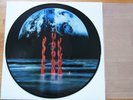 In Flames / Lunar Strain / Picture Disc LP / 12inch vinyl