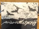 Poison the Well Tear from the Red Grey Splatter 500 Federal prisoner press Vinyl