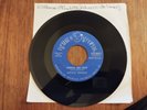 LITTLE DENICE Check Me Out OG US 45 SISTER FUNK SOUL NORTHERN Ruthies EX *LISTEN
