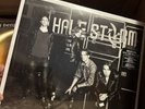 Into the Wild Life by Halestorm (Record, 2015) Limited red vinyl  double LP