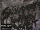 Bon Jovi - Slippery When Wet (Vinyl LP - 1986 - EU - Reissue)