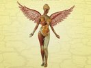 Nirvana - In Utero Vinyl LP NEU 0552570