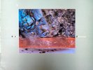 LP - Dif Juz – Extractions