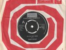 RARE   CHUBBY CHECKER   YOU JUST DON'T KNOW LOVELY COPY